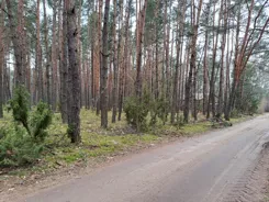 REMAX-603/3992/OGS - zdjęcie nr 1