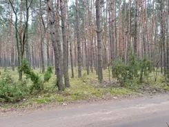 REMAX-603/3992/OGS - zdjęcie nr 2