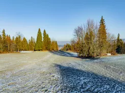 REMAX-3245/2680/OGS - zdjęcie nr 4