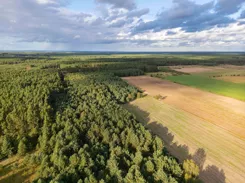 REMAX-153-GS-EXPERTS - zdjęcie nr 1