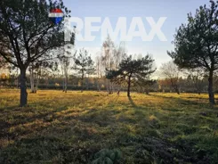 REMAX-SMART-I-378/7675/OGS - zdjęcie nr 1