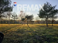 REMAX-SMART-I-378/7675/OGS - zdjęcie nr 2