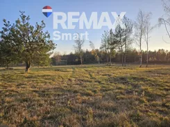 REMAX-SMART-I-378/7675/OGS - zdjęcie nr 3