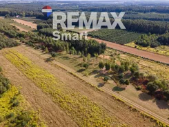 REMAX-SMART-I-347/7675/OGS - zdjęcie nr 2