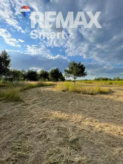 REMAX-SMART-I-347/7675/OGS - zdjęcie nr 4