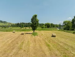 REMAX-59-GS-DUO001 - zdjęcie nr 3