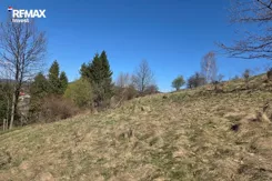 REMAX-329-GS-INVEST - zdjęcie nr 0