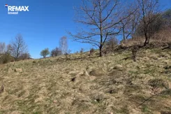 REMAX-329-GS-INVEST - zdjęcie nr 1
