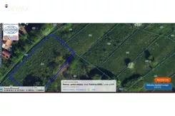 REMAX-329-GS-INVEST - zdjęcie nr 4