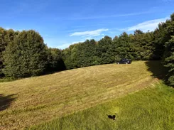 REMAX-128-GS-AMBER - zdjęcie nr 2