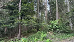 REMAX-164-GS-DUO001 - zdjęcie nr 3