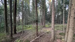 REMAX-164-GS-DUO001 - zdjęcie nr 4