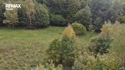 REMAX-6008/3123/OGS - zdjęcie nr 0
