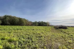 REMAX-1911/2037/OGS - zdjęcie nr 3