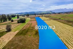 REMAX-2360/2680/OGS - zdjęcie nr 2