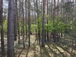 REMAX-SMART-I-424/7675/OGS - zdjęcie nr 4