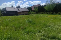 REMAX-20-GS-DUO001 - zdjęcie nr 3