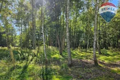 REMAX-69-GS-kSReNwM9HQ - zdjęcie nr 0