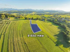 REMAX-216-GS-DUO001 - zdjęcie nr 1