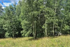 REMAX-366-GS-INVEST - zdjęcie nr 0