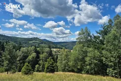REMAX-366-GS-INVEST - zdjęcie nr 3