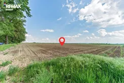 REMAX-54-GS-INVEST - zdjęcie nr 4