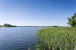 REMAX-PEAK-I-504/3061/OGS - zdjęcie nr 4