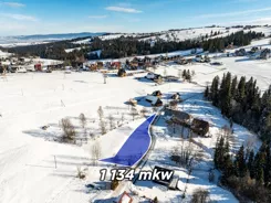 REMAX-75-GS-DUO001 - zdjęcie nr 1