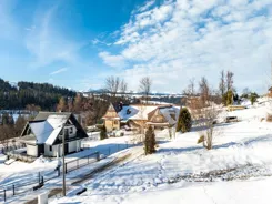 REMAX-75-GS-DUO001 - zdjęcie nr 4