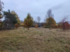 REMAX-15-GS-4c0MfJ5ZJk - zdjęcie nr 0