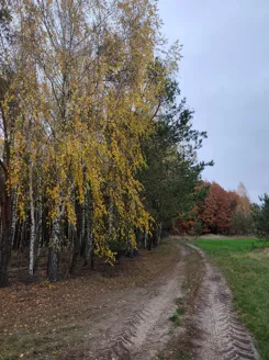 REMAX-15-GS-4c0MfJ5ZJk - zdjęcie nr 2