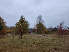 REMAX-15-GS-4c0MfJ5ZJk - zdjęcie nr 3