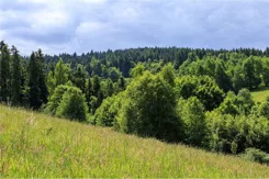 REMAX-460-GS-INVEST - zdjęcie nr 0