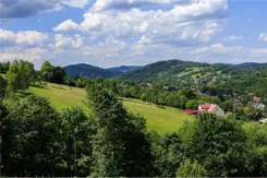 REMAX-460-GS-INVEST - zdjęcie nr 2