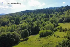 REMAX-279-GS-INVEST - zdjęcie nr 3