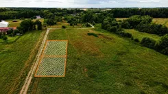 REMAX-67-GS-AMBER - zdjęcie nr 0