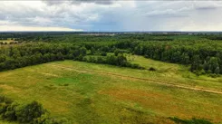 REMAX-67-GS-AMBER - zdjęcie nr 1