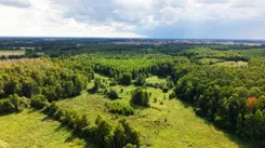 REMAX-67-GS-AMBER - zdjęcie nr 4