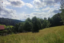 REMAX-334-GS-INVEST - zdjęcie nr 0