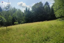 REMAX-334-GS-INVEST - zdjęcie nr 3