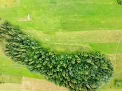 REMAX-2724/2680/OGS - zdjęcie nr 0