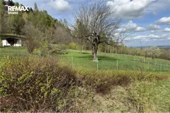 REMAX-5869/3123/OGS - zdjęcie nr 3