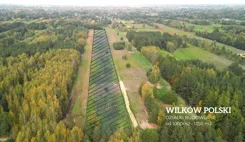 REMAX-167-GS-BEST - zdjęcie nr 2