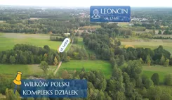 REMAX-167-GS-BEST - zdjęcie nr 4