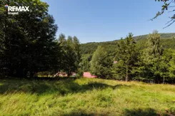 REMAX-6147/3123/OGS - zdjęcie nr 0