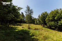 REMAX-6147/3123/OGS - zdjęcie nr 3