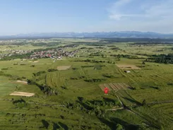 REMAX-2916/2680/OGS - zdjęcie nr 4