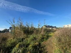 REMAX-158-GS-AMBER - zdjęcie nr 4