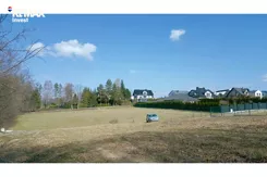 REMAX-6172/3123/OGS - zdjęcie nr 2