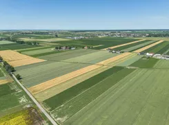 REMAX-EXPERTS-I-508/3953/OGS - zdjęcie nr 3